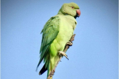 WhatsApp-Image-2025-01-06-at-16.57.53_ea416b34