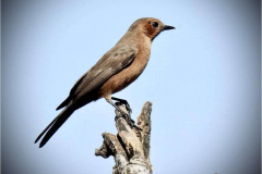 WhatsApp-Image-2025-01-06-at-16.57.54_09acee3a