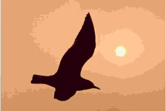 WhatsApp-Image-2025-01-06-at-16.57.54_313ad714