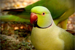 WhatsApp-Image-2025-01-06-at-16.57.55_268976d3