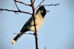 WhatsApp-Image-2025-01-06-at-16.57.55_a57f2da6