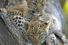 7b35c33b1f1579f4b57d1d8e31315d20