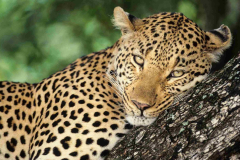 GettyImages-538631855-57b6c1673df78c87632846fc