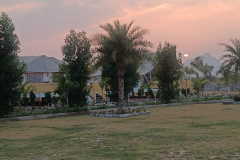 WhatsApp-Image-2025-01-14-at-03.11.56_8fa6ceeb