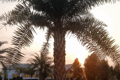 WhatsApp-Image-2025-01-14-at-03.12.01_cf93f518