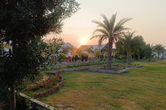 WhatsApp-Image-2025-01-14-at-03.12.04_d70d6981